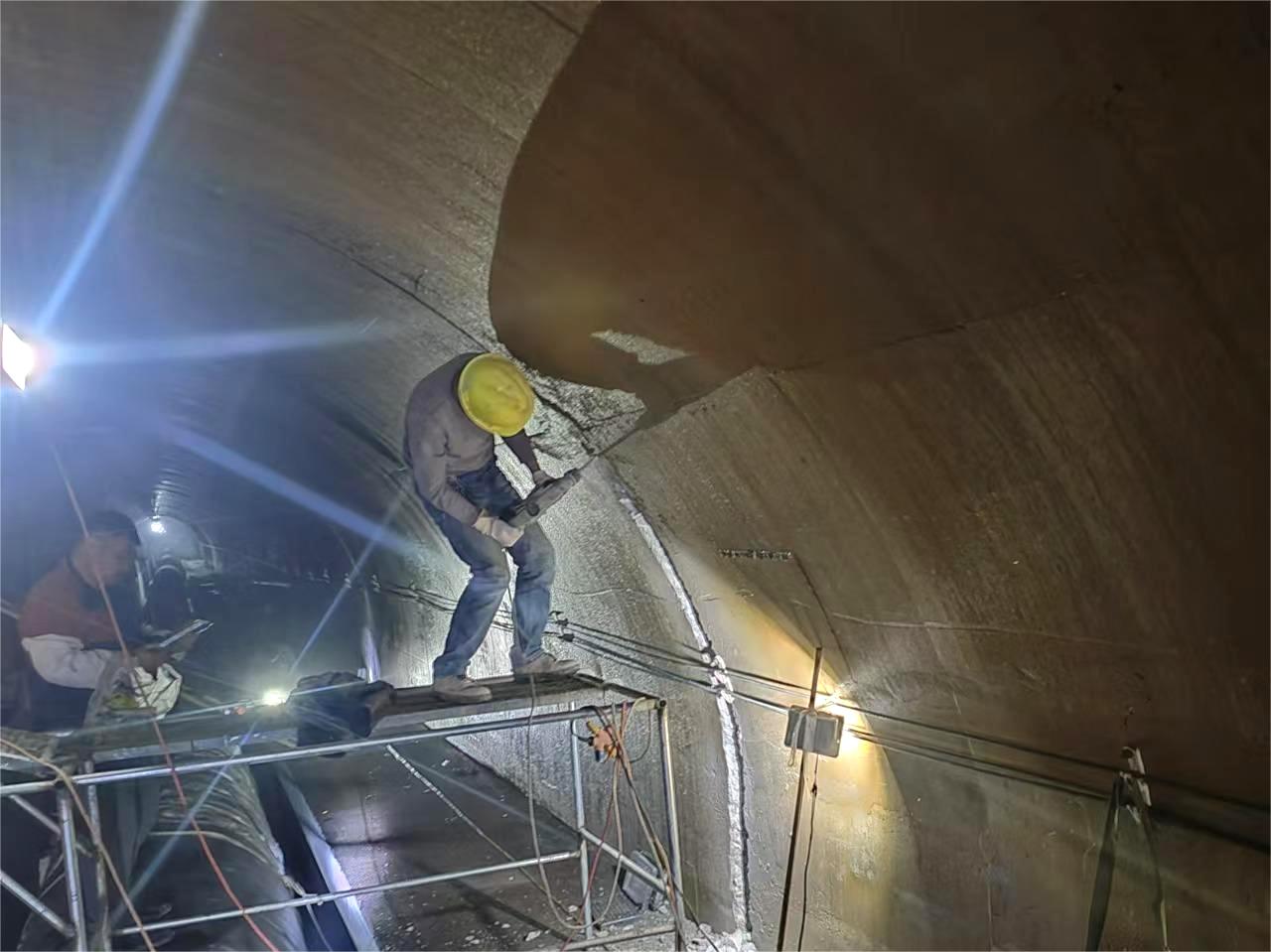 微信圖片_20241015081937